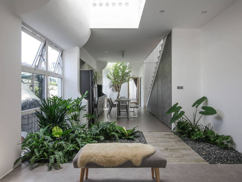 Ứng dụng phong thủy trong việc bố trí cây xanh trong nhà