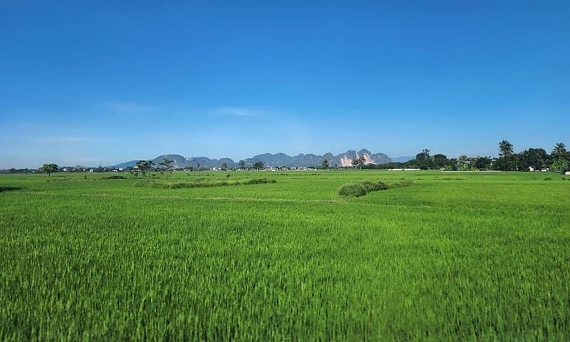 Thanh Hóa: Quy hoạch chi tiết xây dựng tỷ lệ 1/500 Khu dân cư mới Đại Đồng